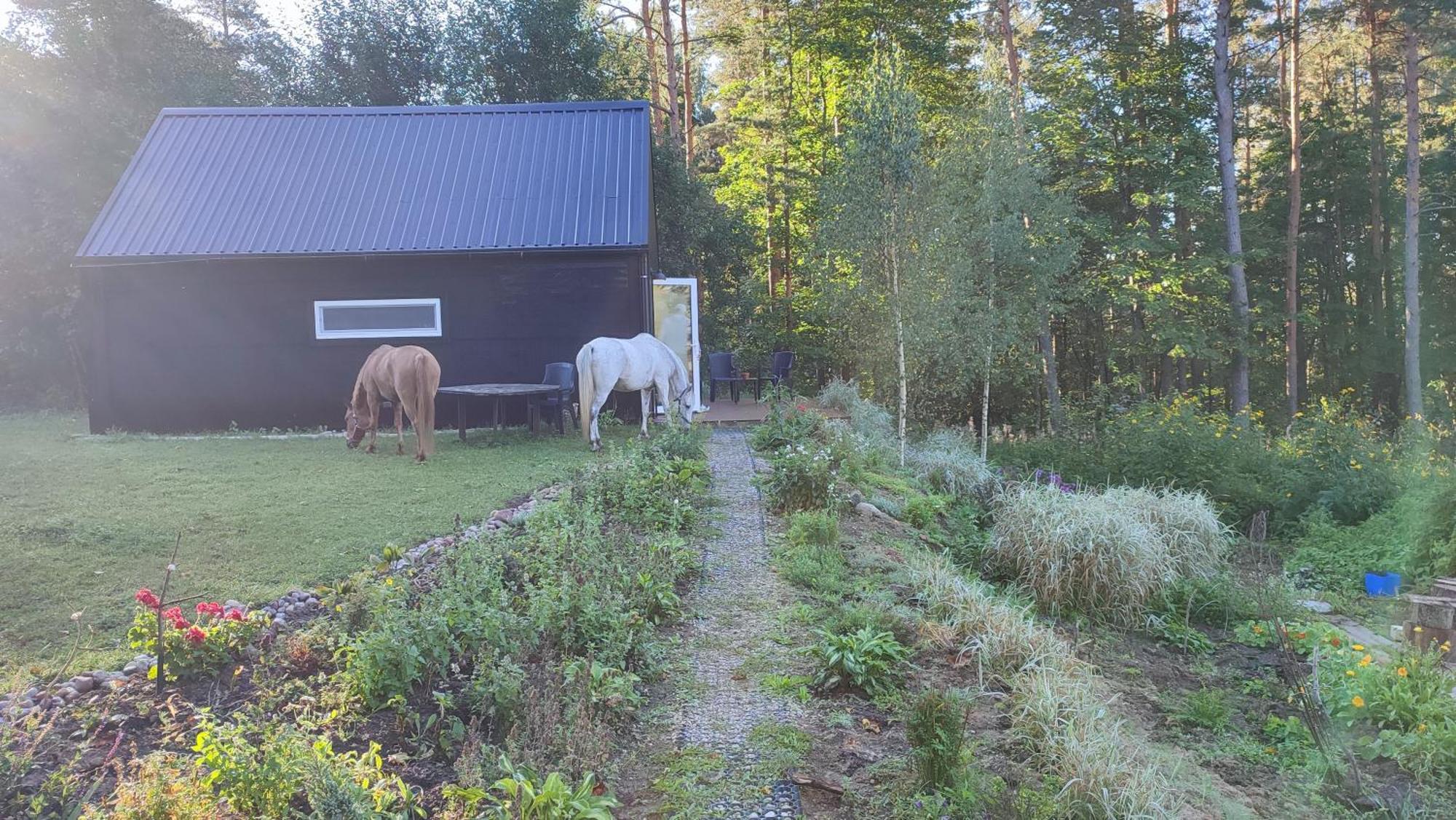 Modern Cabin in Horse Ranch Liyeplauke Exterior foto